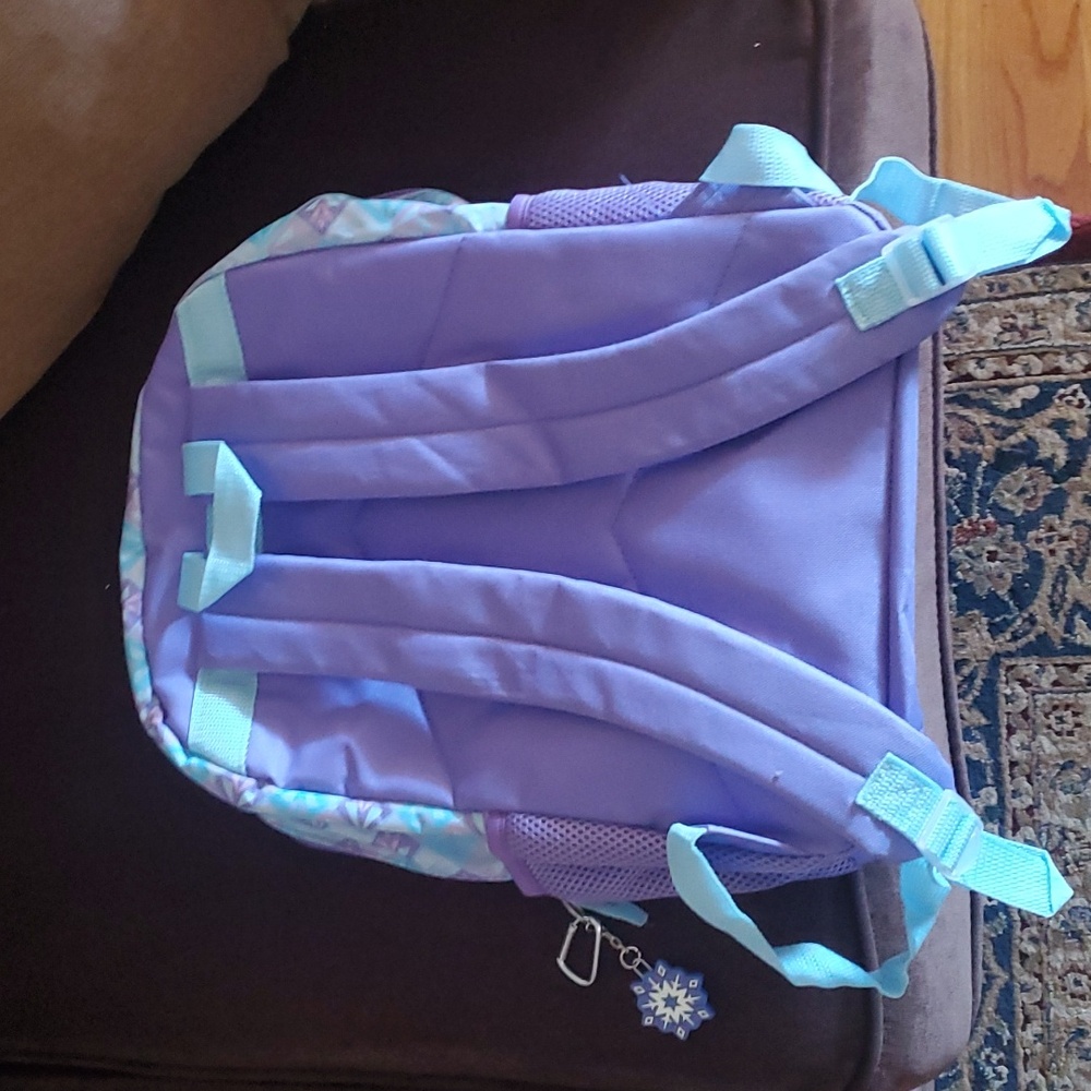 Frozen backpack - Picture 2 of 4